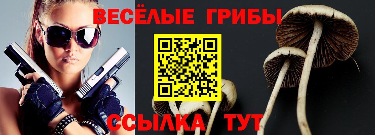 Псилоцибиновые грибы Psilocybe  Вход с VPN  Псилоцибиновые грибы MAGIC MUSHROOMS  Грязи 